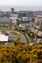 Swansea One, new business development within former industrial docks with gorse and natural features incorporated within development, Swansea, Wales, UK 2009