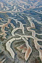 Aerial view of patterns created by agricultural work on land, Los Monegros, Zaragoza Province, Aragon, Spain, July 2011