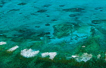 Aerial view of coastline, coral reefs and sandbanks of island of the Bahamas archipelago, Caribbean, February 2012