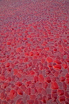 Aerial view of salt pans coloured red by cyanobacteria, Lake Natron, Rift Valley, Tanzania, August 2009