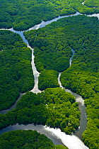 Aerial view of Kinabatangan river flowing through rainforest, Sandakan, Sabah, Borneo, Malaysia, April 2007