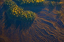 Aerial view of taiga forest and peat wetlands in autumn, Rovaniemi, Laponia, Finland, September 2007