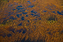 Aerial view of peat wetlands in autumn, Rovaniemi, Laponia, Finland, September 2007