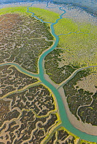 Aerial view river tributaries and saltmarshes of Bahia de Cadiz Natural Park, Huelva, Andalucia, Spain, March 2008