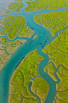 Aerial view of river tributaries and saltmarshes of Bahia de Cadiz Natural Park, Huelva, Andalucia, Spain, March 2008