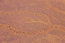 Aerial view of the Namib desert, Sossusvlei, Sesriem, Namibia, August 2008