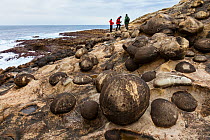 Geological rock formations on Jaizkibel Beach, Gipuzkoa, Basque Country, Spain, May 2012