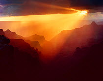 North Rim at Cape Royal with sunset storm light streaming in rays, backlighting the canyon ridges, Grand Canyon National Park, Arizona, USA