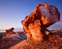 Broken fossilized tree sections balanced on clay pedestals in sunset light, Petrified Forest National Park, Arizona, USA