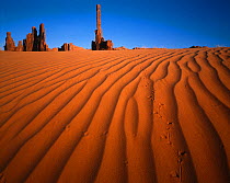 The Totem Pole and the Yei Bi Chi formations of eroded sandstone, with rodent's trail in the foreground on sand dune, Monument Valley, Arizona, USA