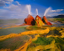 Scalding hot water continuously spouting behind layers of mineral deposits, Fly Geyser, Black Rock Desert, Great Basin Desert, Nevada, USA