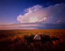 Cheyenne River Sioux Tribal Park with glacial remnant boulders amid grassland and on-coming storm clouds, Montana, USA