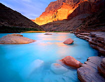 The Little Colorado River near the confluence with the Colorado River in the Grand Canyon National Park, with early morning light illuminating cliffs and reflecting in the water, Arizona, USA
