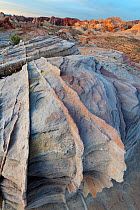 Eroded Aztec sandstone, dating back to the Jurassic, 160 million years ago. Colourful banding with fins and dikes produce a testiment to the power of erosion, Mojave Desert near Las Vegas, Nevada, USA