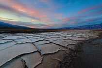 Salt formations in valley floor, Death Valley National Park, Mojave Desert, California, USA
