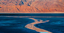 Spring fed streams flowing into Salt Creek in Death Valley National Park with the Panamint Mountain reflected in dawn light, California, USA