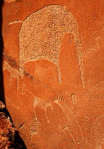 Panels of rock carving depicting African wildlife, World Heritage site, Twyfelfontein, Damaraland, Namibia
