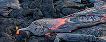 Molten lava streaming across solidified lava from Kilauea in Hawaii's Volcanoes National Park, on Hawaii's Big Island of Hawaii, USA