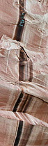 Desert varnished sandstone walls with fractured and brilliantly banded canyon wall, North Wash Glen Canyon Recreation Area, Utah, USA