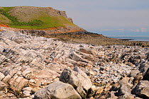 Limestone rocks, boulders and rockpool exposed at low tide with steep eroded cliffs above, near Rhossili, The Gower peninsula, Wales, UK, July. Sequence 1 of 2, matching view with different tides