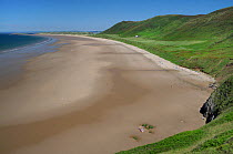 Overview of Rhossili Bay at low tide with many people relaxing on the huge sandy beach below Rhossili Down, The Gower peninsula, Wales, UK, July. Sequence 1 of 2, matching view with different tides