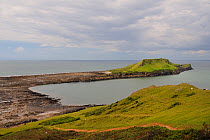 Overview of the Worm's head with causeway connecting it to the mainland exposed at low tide, with wave cut platform and rockpools visible, Rhossili, The Gower peninsula, Wales, UK, July. Sequence 1 of...