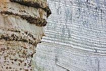 Layers of flint in chalk cliff at Etretat, Upper Normandy, Côte d'Albâtre, France, March