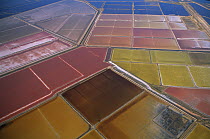 Arial view of coloured salt pans, colour is determined by the concentration of various elements, Salins de Giraud, Camargue, Southern France
