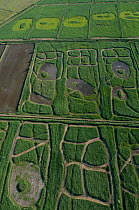 Aerial view of wetlands managed as a waterfowl hunting marsh in former rice fields, Camargue, Southern France, June 2009