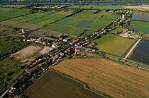 Aerial view of rural urbanisation in the Camargue along the River Rhone, le Sambuc, Arles, Camargue, Southern France, June 2009