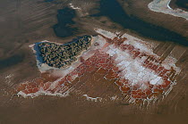 Aerial view of crystallisation of salt in a lagoon depression, Aigues-mortes saltpans, Camargue, Southern France, August 2008