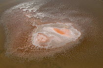 Aerial view of crystallisation of salt in a depression, Aigues-mortes saltpans, Camargue, Southern France, August 2008