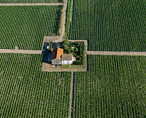 Aerial view of farm buildings surrounded by vineyards, Petite Camargue, Southern France, June 2009