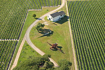 Aerial view of farm building surrounded by vineyards, Jarras Listel, Languedoc, France, June 2007