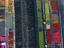 Aerial view of intensive flower production, Arles, Camargue, southern France, May 2009
