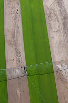 Aerial view of land used to produce turf for grass surfaces for football pitches etc, with irrigation bar in place, Mas St Sauveur, Petite Camargue, Southern France, June 2009