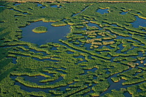 Aerial view of open reedbeds for hunting waterfowl, Camargue, Southern France, June 2007