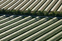Aerial view of polytunnels for horticulture, St Gilles, Camargue, Southern France, June 2007