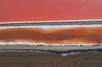 Aerial view of dry salt pan with depression coloured red and brown by algae, Camargue, Southern France, August 2008
