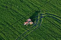 Aerial view of tractor in rice field, Camargue, Southern France, July 2010