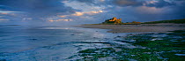 Dusk on the beach at Bamburgh Castle at low tide, Northumbria, England, UK