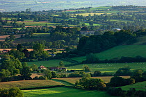 The rolling English countryside near South Cadbury, Somerset, UK. August 2011.