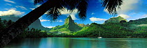 Oponohu Bay, Moorea, Tahititi, French Polynesia