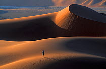 Person walking along sand dunes, Namib Desert, Namibia, Southern Africa. Model released.
