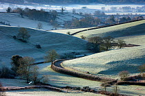 Frost covered grass fields and country road leading to village of Oborne, Dorset, England, UK. February 2012.