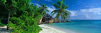 Palm tree and beach at Anse Source d'Argent, La Digue, Seychelles