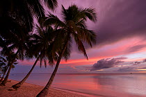 San Juan Beach with palm trees at dusk, Siquijor, The Visayas, Philippines. February 2011