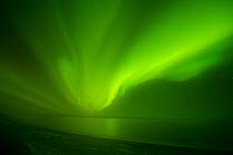Green Aurora borealis over the Beaufort Sea, seen from the 1002 area of the Arctic National Wildlife Refuge, North Slope of the Brooks Range, Alaska, October 2011