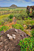 View across Aboriginal lands, Arnhemland, North Western Territories, Australia, May 2009