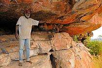 Aboriginal cave art being explained by guide Arnhemland, North West Territories, Australia, May 2009